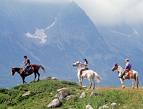 trek 2