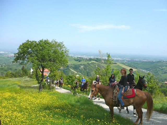 trekking 7