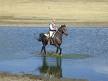 Il turismo equestre in crescita in Italia 1 turequestre 1