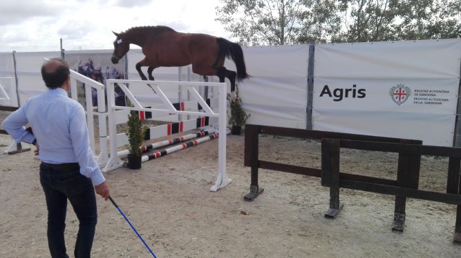 57° Premio Regionale di Tanca Regia 1 un salto in liberta 2019