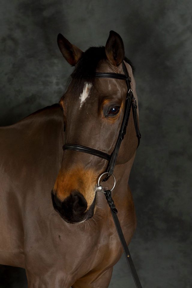 Un regalo da parte di Haras des Coudrettes a sostegno dell'associazione di Niches & Special per disabili Handi Equi Compet 1 uniek