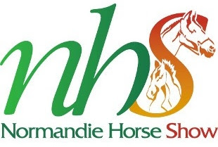 Azzurri head to France for European Horse-Ball Championships 1 unnamed 3 3 1