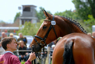unnamed 4 1