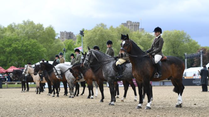 VIRTUAL WINDSOR 2020 RECEIVES THOUSANDS OF ENTRIES FROM AROUND THE WORLD 1 unnamed25