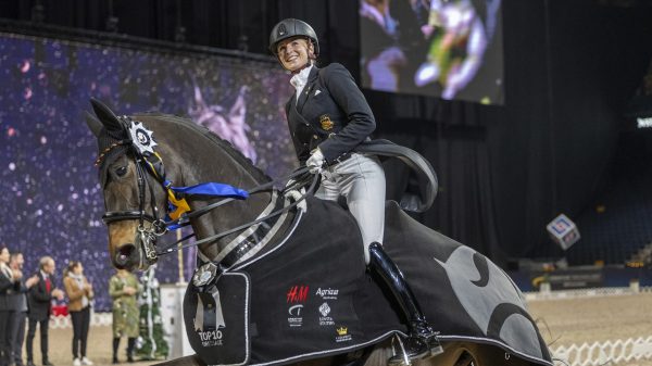 Lövsta Stuteri secures Top 10 Dressage at Sweden International Horse Show 5 unnamed73