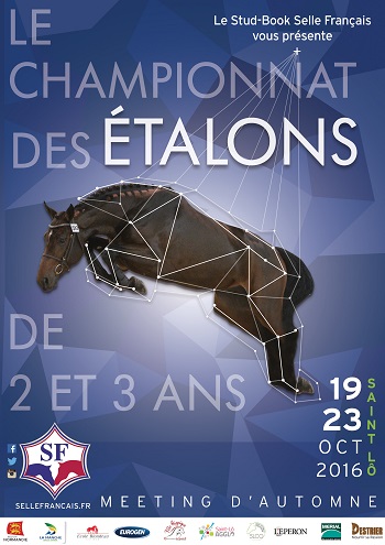 France gears up for equestrian extravaganza 1 unnamed 30 1