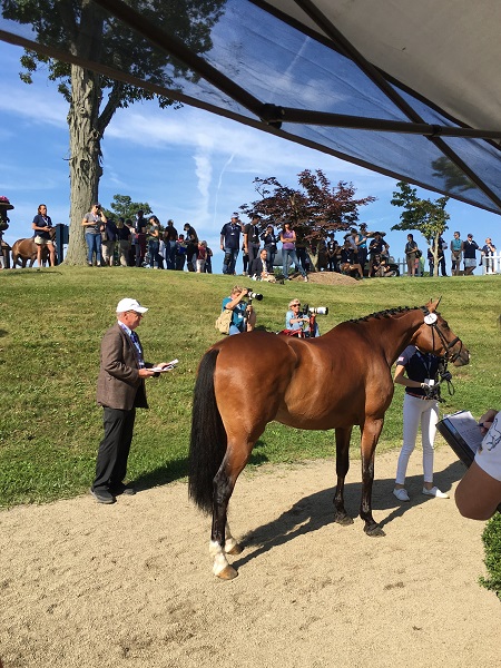 Campionati giovanili nordamericani 2018 al via a North Salem 1 unnamed 57
