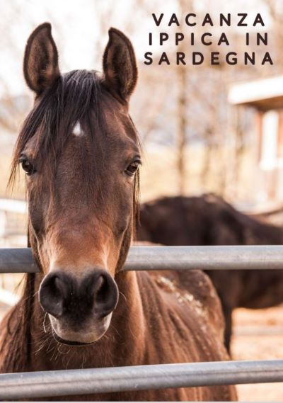 Vacanza nella Sardegna più vera, ricca di suggestioni, cavalli e fascino 1 vacanza ippica in sardegna