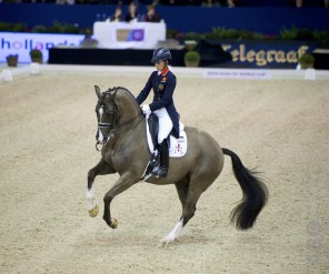 KWPN Stallion Show: ci sarà anche la superstar Valegro. 1 valegro 2
