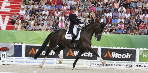 valegro 4