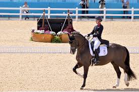 valegro 7