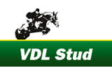 VDL Stallion Show 2014 in diretta streaming sul web. 1 vdl 0