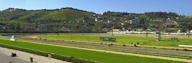 veduta prato ippodromo