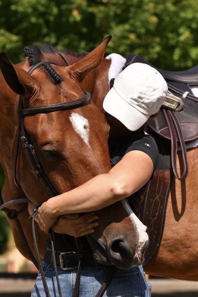 Protocolli di salute equina per il 2020 Summer Festival del Vermont 1 vermont 0