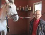 veterinaria 1