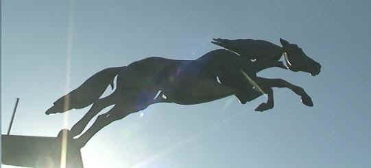 vimeiro cavalo salto