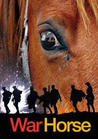 The War Horse musical moves from Holland to Belgium. 1 warhorse 0 1