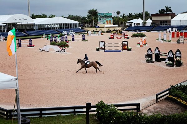 wef 5