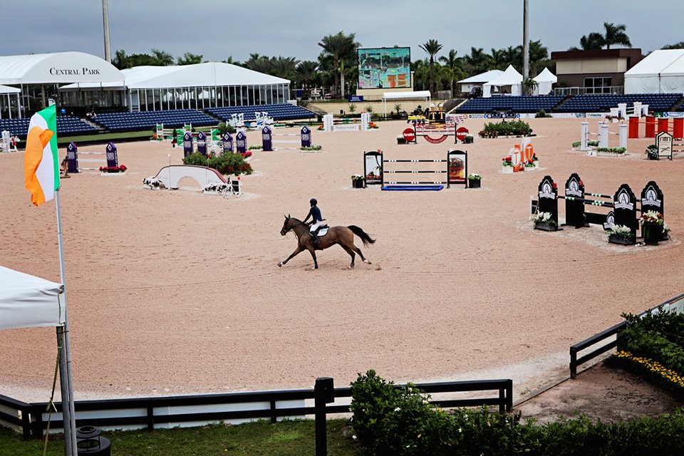 Winter Equestrian Festiva: oggi il Wellington Equestrian Realty Grand Prix CS. 1 wef 5