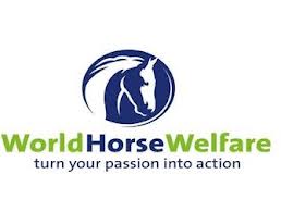 World Horse Welfare become associated partner of the British Equestrian Federation 1 whw 1