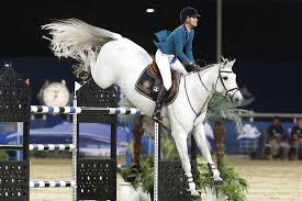 winningmoos luciana diniz 1