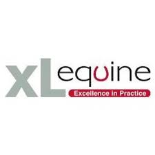 British Equine Veterinary Association launches guide to preventing equine contagious disease 1 xlequine2 1