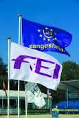 z 11