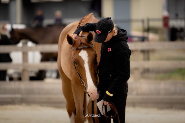 ©tbird Quinn Saunders Team Canada