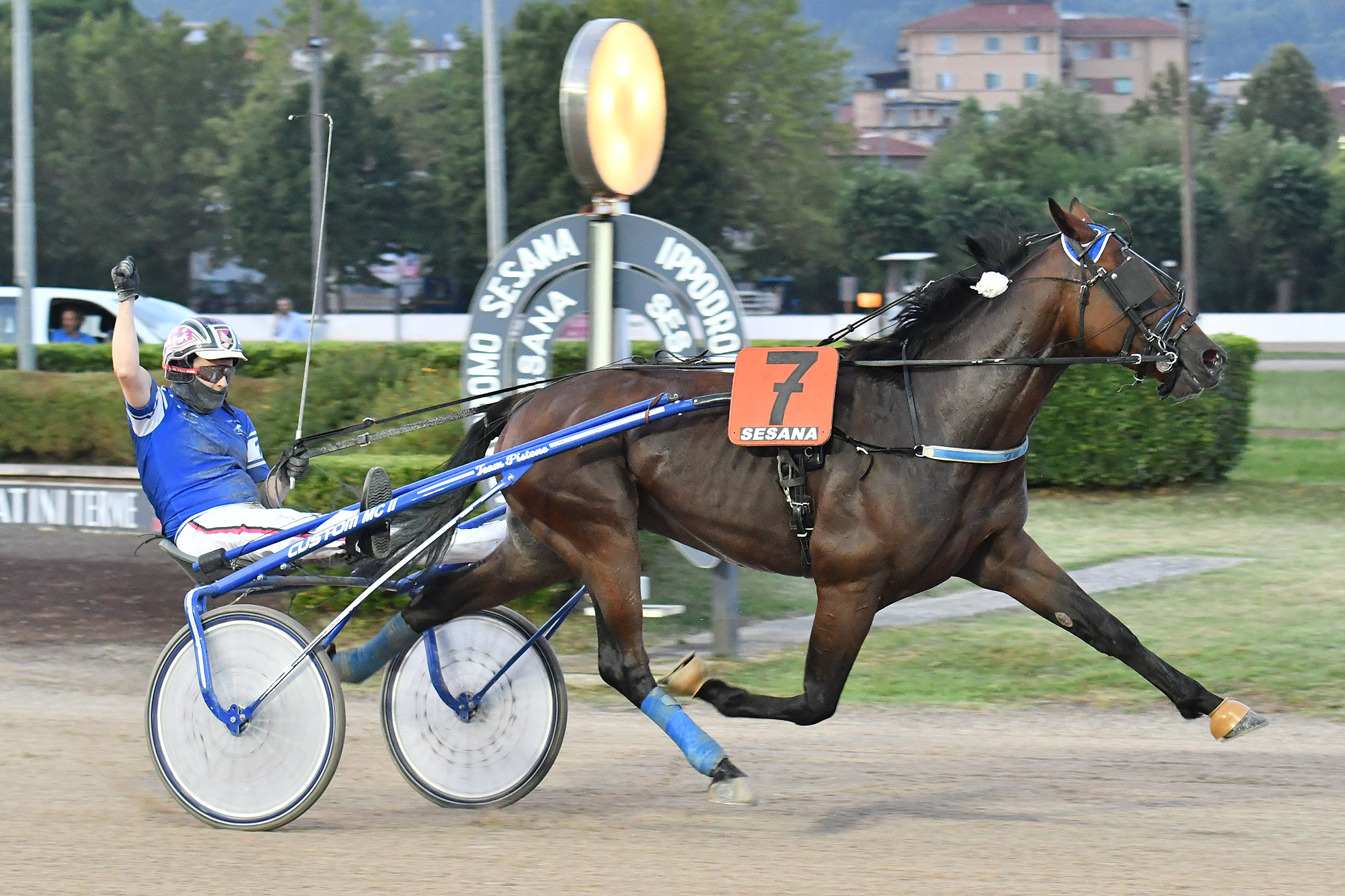 All'Ippodromo SNAI Sesana giovedì sera di corse in ricordo di Roberto Andreghetti 6 CORSA1 PREMIO ALESSANDRO ROSASPINA