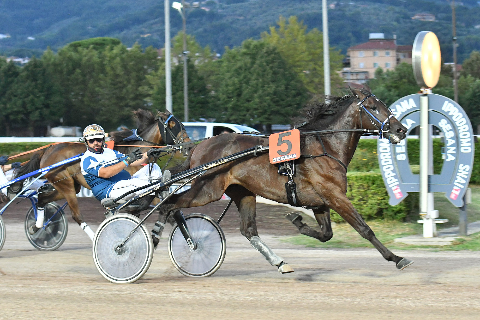All’Ippodromo Snai Sesana, brilla Zermatt Key nel Premio Bath 3 CORSA1 PREMIO BADEN BEI WIEN
