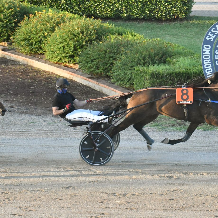 All'Ippodromo SNAI Sesana brilla Dolce Viky nel Premio Indovina Tondi 5 CORSA1 PREMIO BELLA DI RENE 1
