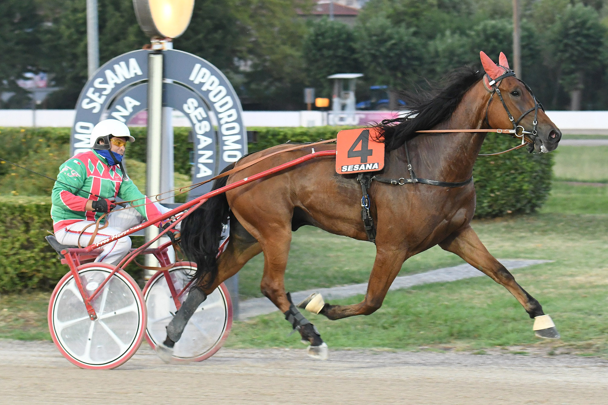 Ippodromo SNAI Sesana: Valpicetto Jet firma il Premio dedicato a Cesare Meli di giovedì sera 7 CORSA1 PREMIO LANDO CORREVO 2015