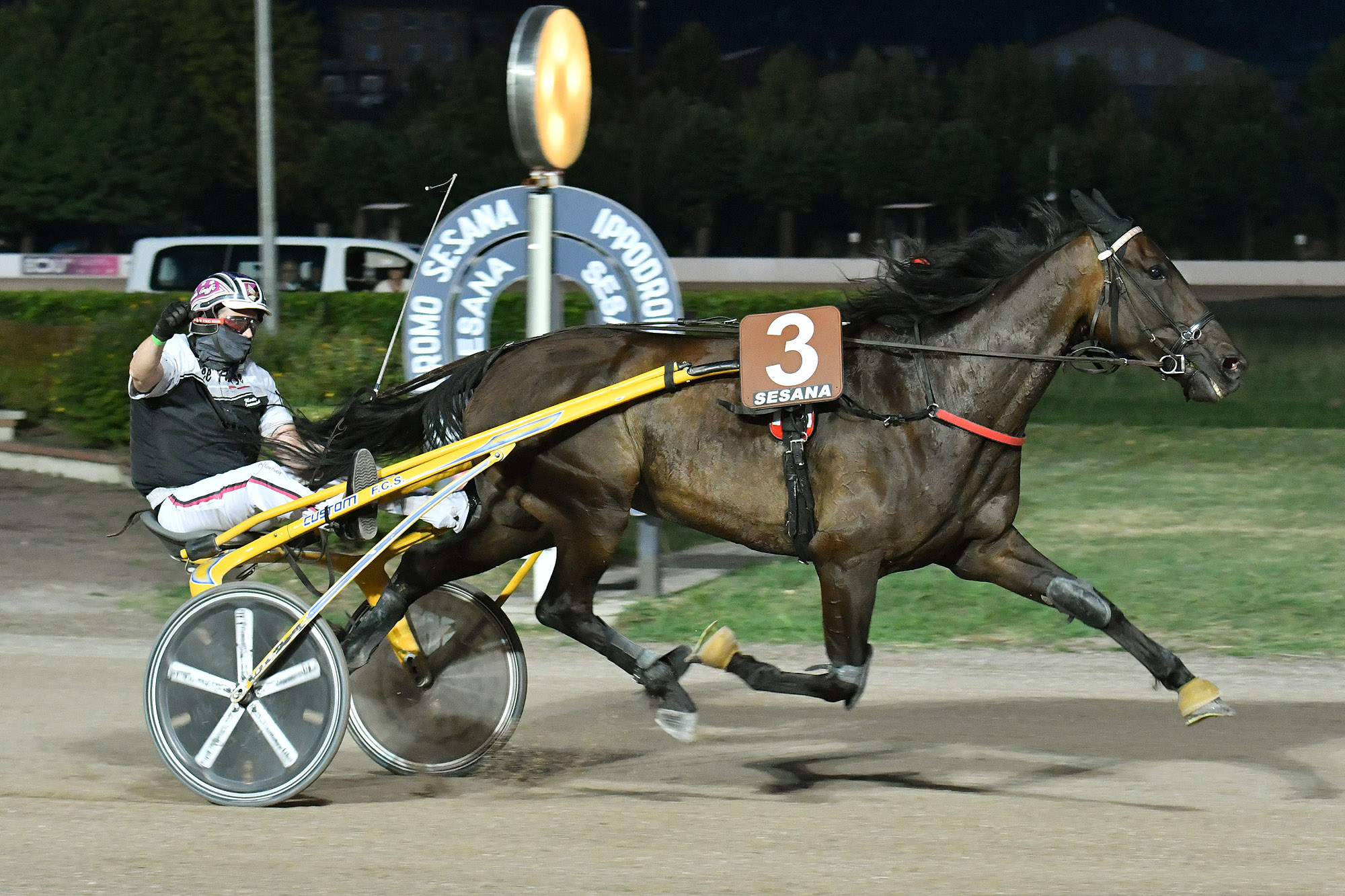 All’Ippodromo Snai Sesana nel Gran Premio Società Terme dominio di Edy Girifalco Gio 7 CORSA2 PREMIO CORAZON BAR