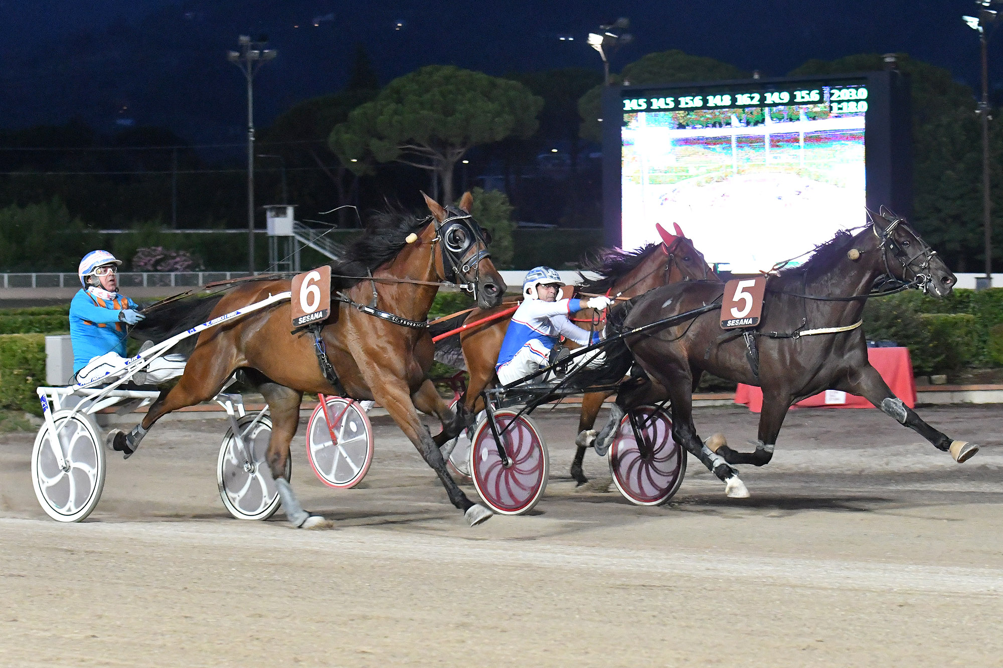 Ippodromo SNAI Sesana: Valpicetto Jet firma il Premio dedicato a Cesare Meli di giovedì sera 6 CORSA2 PREMIO HELLO BOY 1980