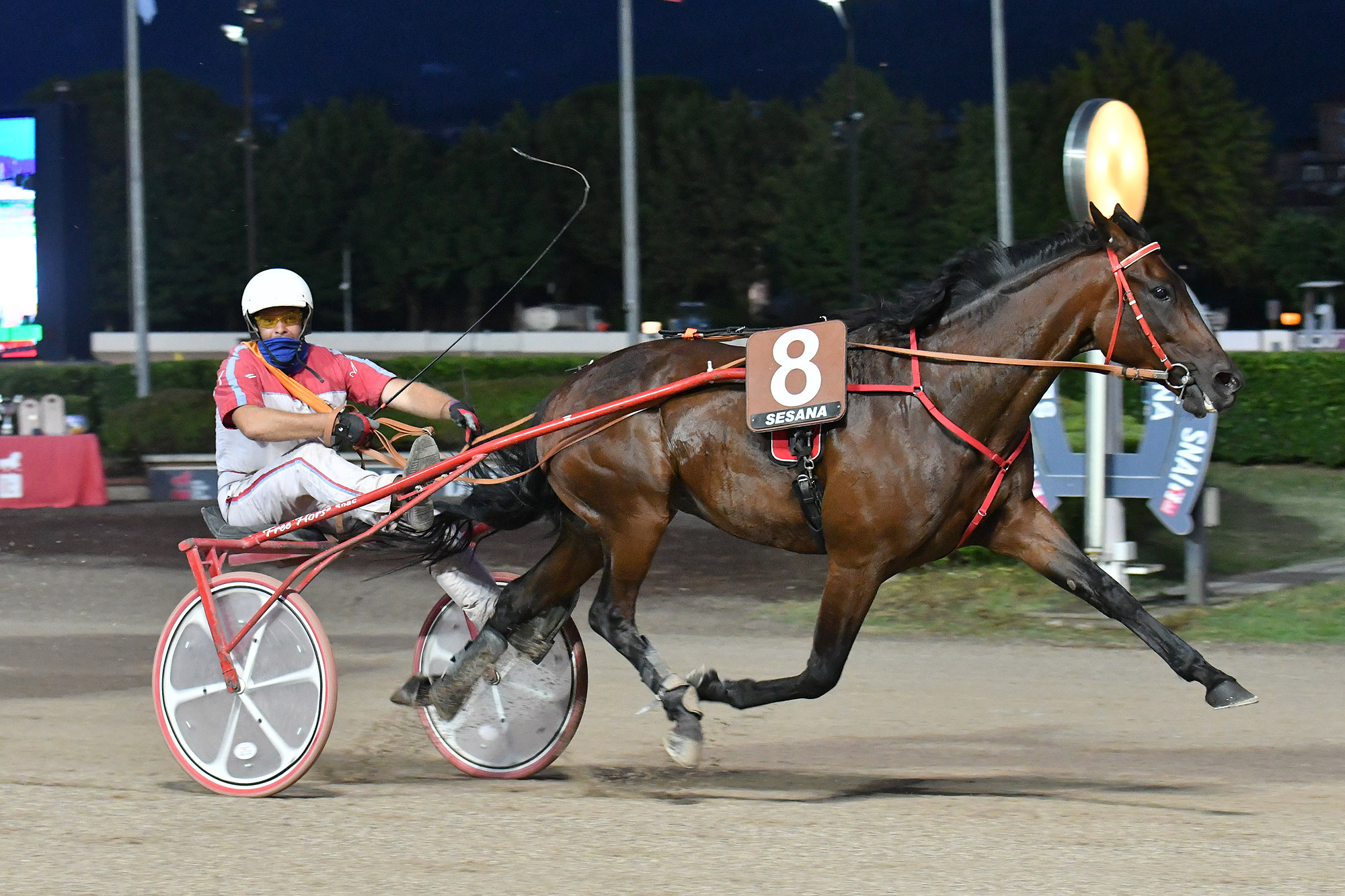 All'Ippodromo SNAI Sesana giovedì sera di corse in ricordo di Roberto Andreghetti 5 CORSA2 PREMIO MACHINI TROFEO DELLE REGIONI