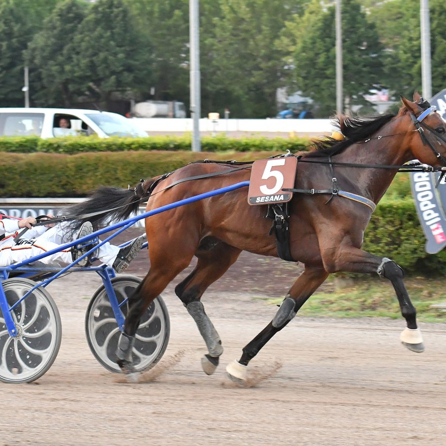 All'Ippodromo SNAI Sesana brilla Dolce Viky nel Premio Indovina Tondi 6 CORSA2 PREMIO MATIA TONDI 1