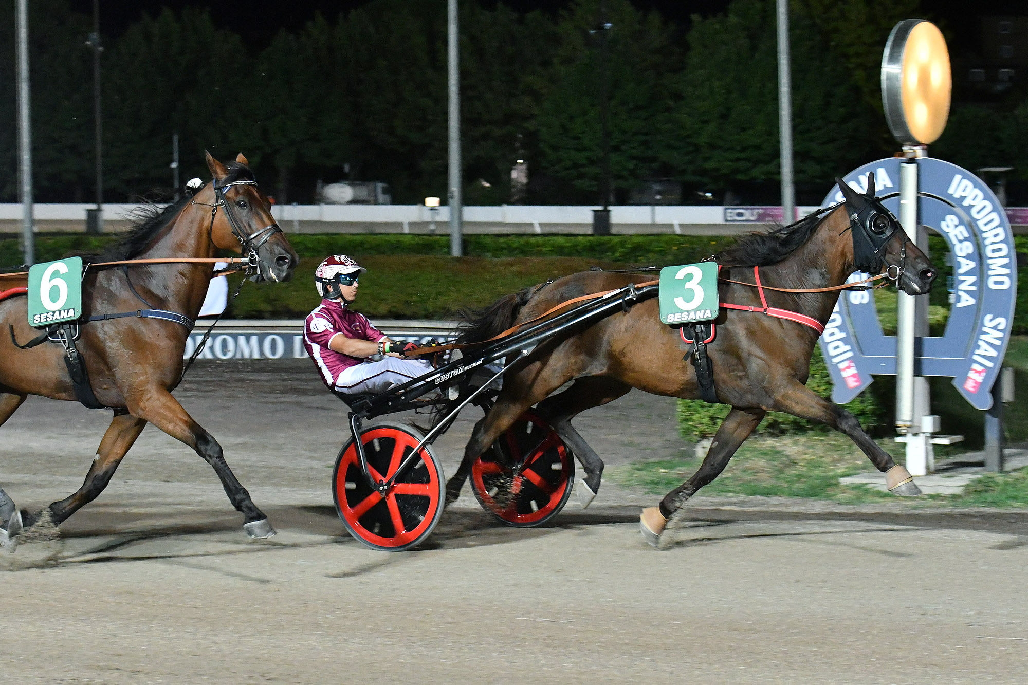 All’Ippodromo Snai Sesana nel Gran Premio Società Terme dominio di Edy Girifalco Gio 8 CORSA3 PREMIO CONSIGLIO REGIONALE DELLA TOSCANA Arrivo 1