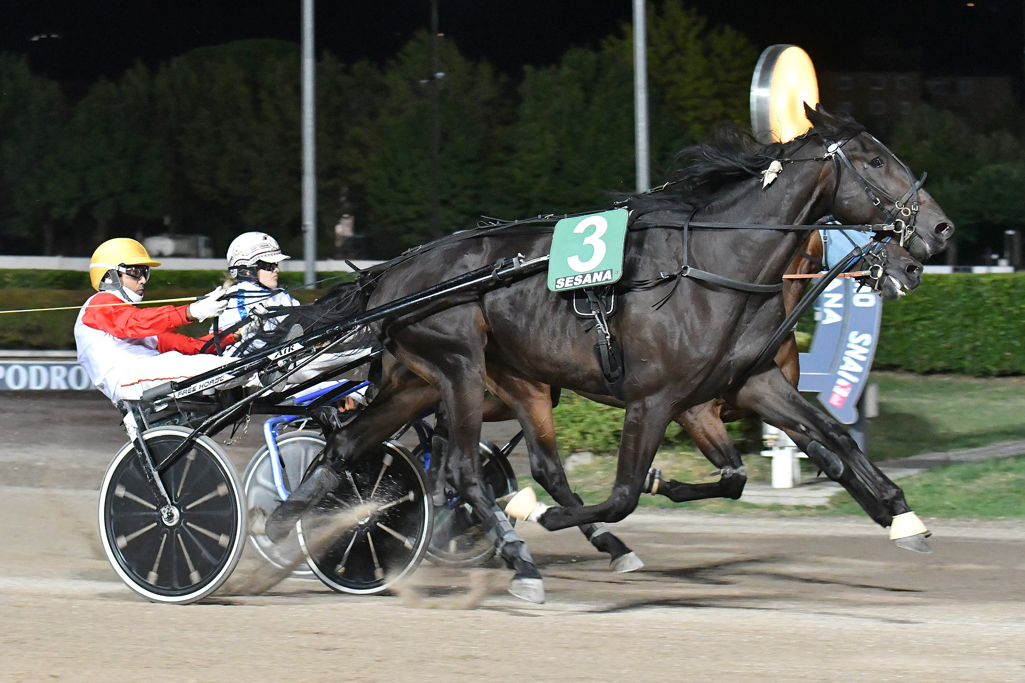 Ippodromo SNAI Sesana: Valpicetto Jet firma il Premio dedicato a Cesare Meli di giovedì sera 5 CORSA3 PREMIO SOBERANIA 1998