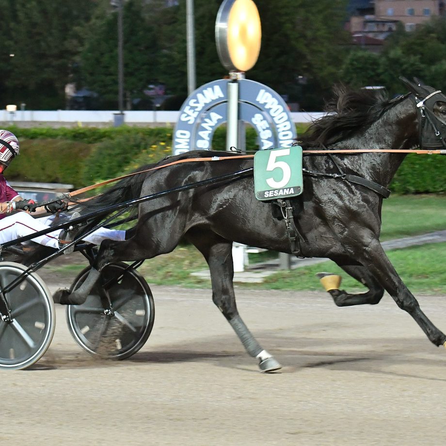 All'Ippodromo SNAI Sesana brilla Dolce Viky nel Premio Indovina Tondi 4 CORSA3 PREMIO MIVAL TONDI 1