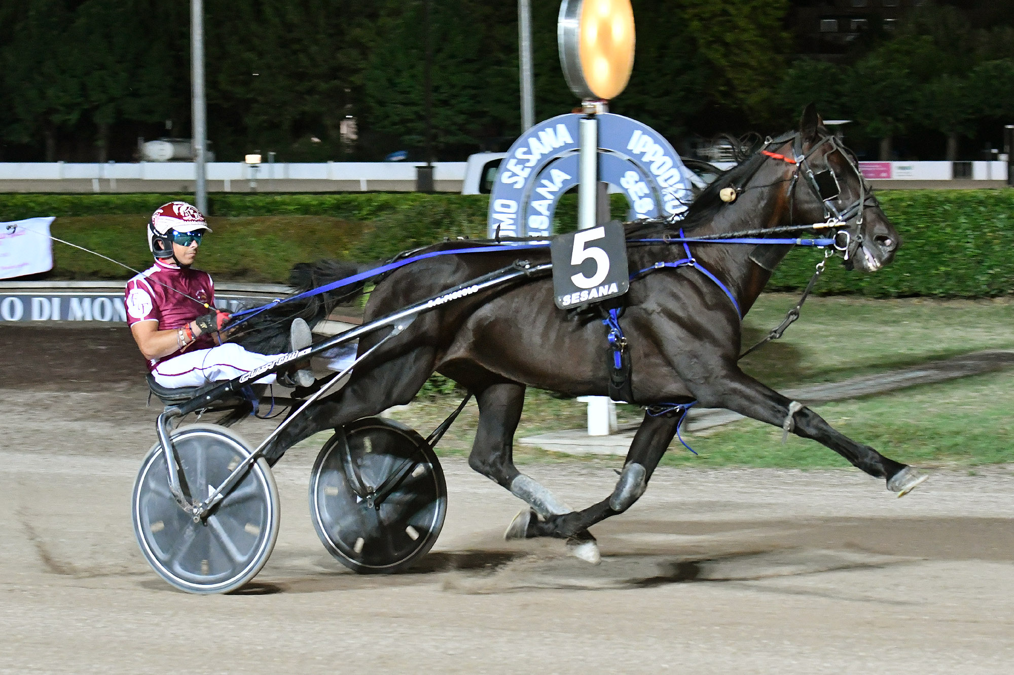 Che festa all’Ippodromo Snai Sesana: sabato il Gran Premio Nello Bellei 4 CORSA4 PREMIO SN4IFUN