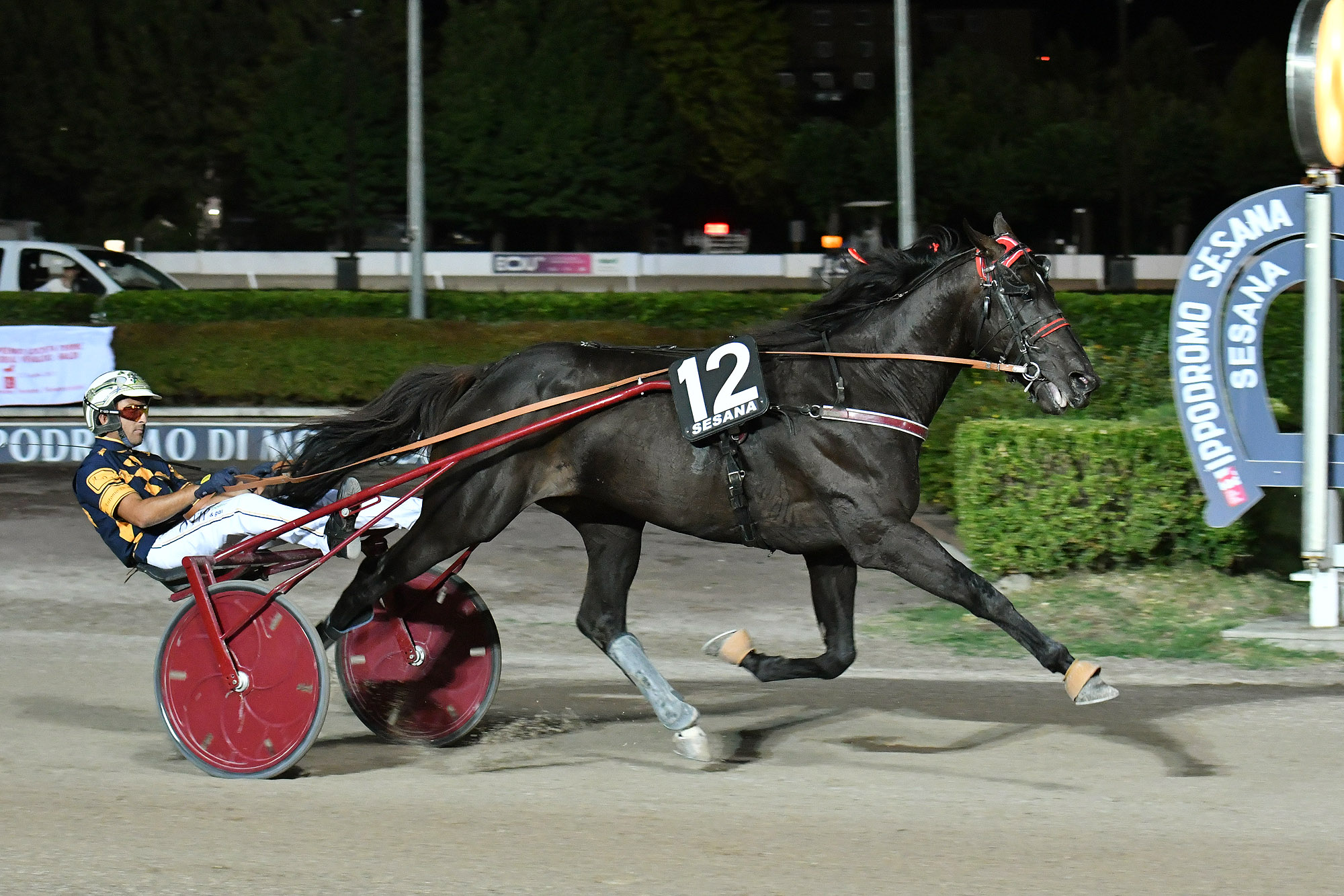 All’Ippodromo Snai Sesana nel Gran Premio Società Terme dominio di Edy Girifalco Gio 5 CORSA4 PREMIO FRANCESCO TESTA MF SADDLERY