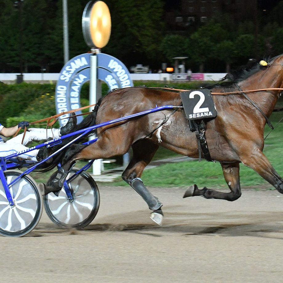 All'Ippodromo SNAI Sesana brilla Dolce Viky nel Premio Indovina Tondi 3 CORSA4 PREMIO RENATO BECATTINI 1