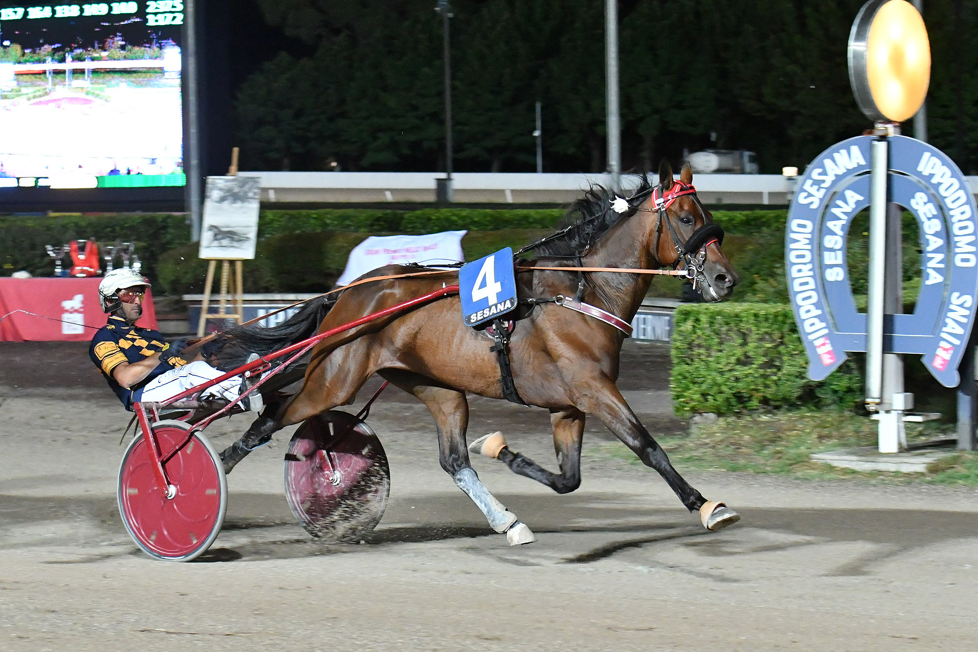 Che festa all’Ippodromo Snai Sesana: sabato il Gran Premio Nello Bellei 5 CORSA5 TROFEO SESANA 3a PROVA