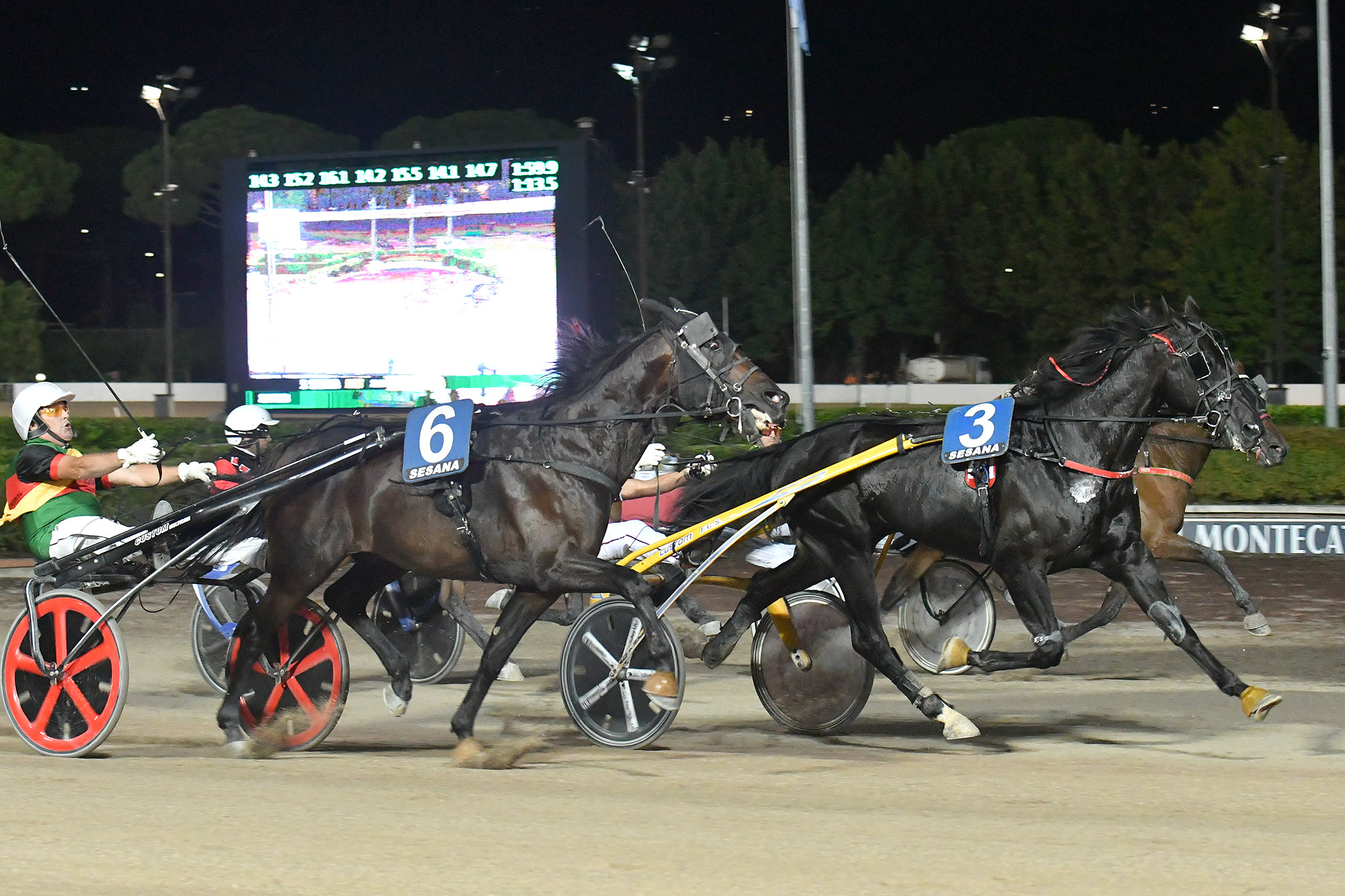 Premio Bath all'Ippodromo Snai Sesana