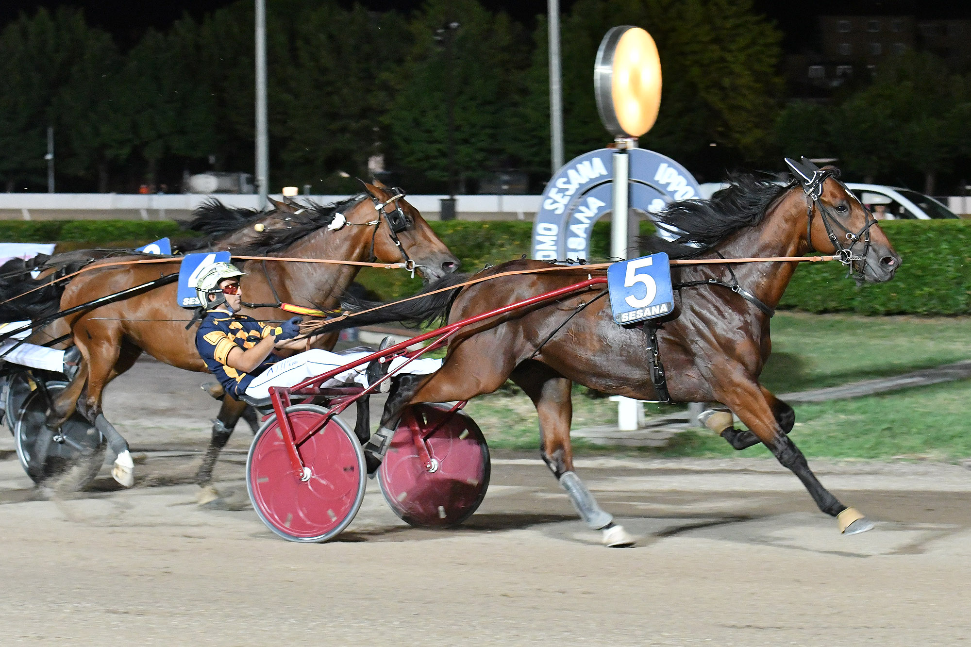All’Ippodromo Snai Sesana nel Gran Premio Società Terme dominio di Edy Girifalco Gio 4 CORSA5 PREMIO DANIELE JET