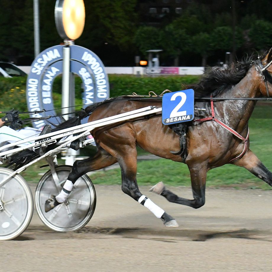 All'Ippodromo SNAI Sesana brilla Dolce Viky nel Premio Indovina Tondi 2 CORSA5 PREMIO TOM PIPPO 1