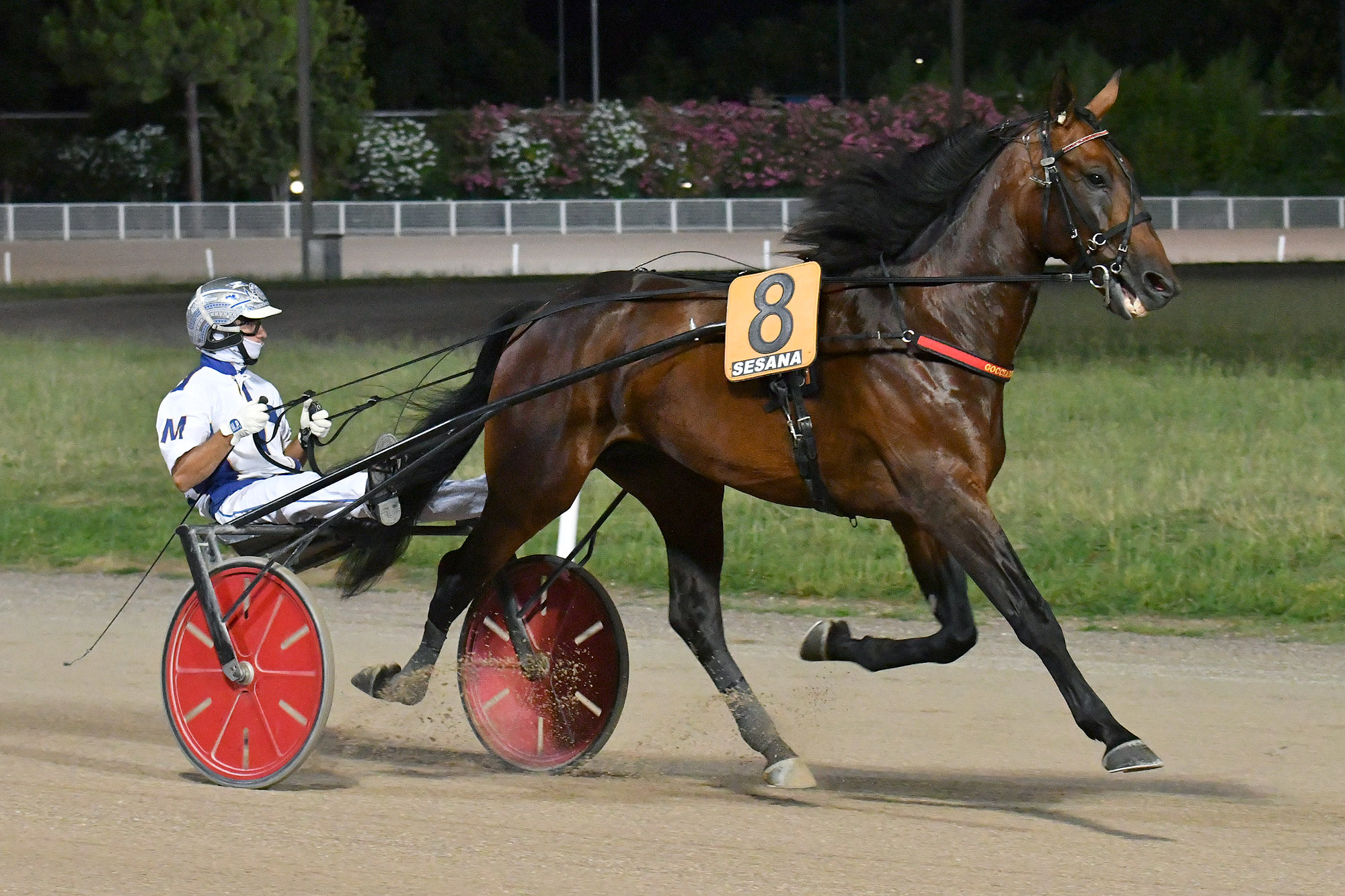 Che festa all’Ippodromo Snai Sesana: sabato il Gran Premio Nello Bellei 1 SABATO AL GRAN PREMIO NELLO BELLEI, VINTO AL ‘VAR’ DA DOLCE VIKY