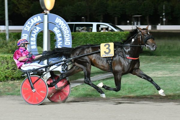 Gran Premio Società Terme Memoriale Vivaldo Baldi Arrivo di Edy Girifalco Gio