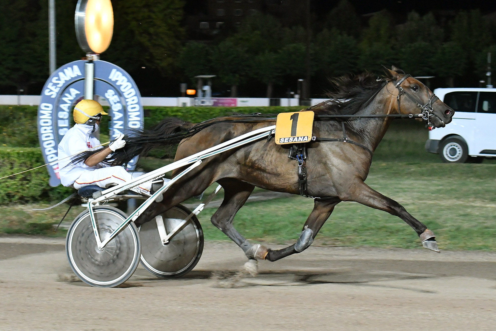 Ippodromo SNAI Sesana: Valpicetto Jet firma il Premio dedicato a Cesare Meli di giovedì sera 3 CORSA6 PREMIO GLOW DI JESOLO