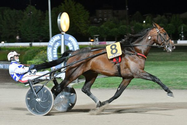 Alessandro Gocciadoro e Dolce Viky durante la Corsa 6 Premio Indovina Tondi all'Ippodromo SNAI Sesana